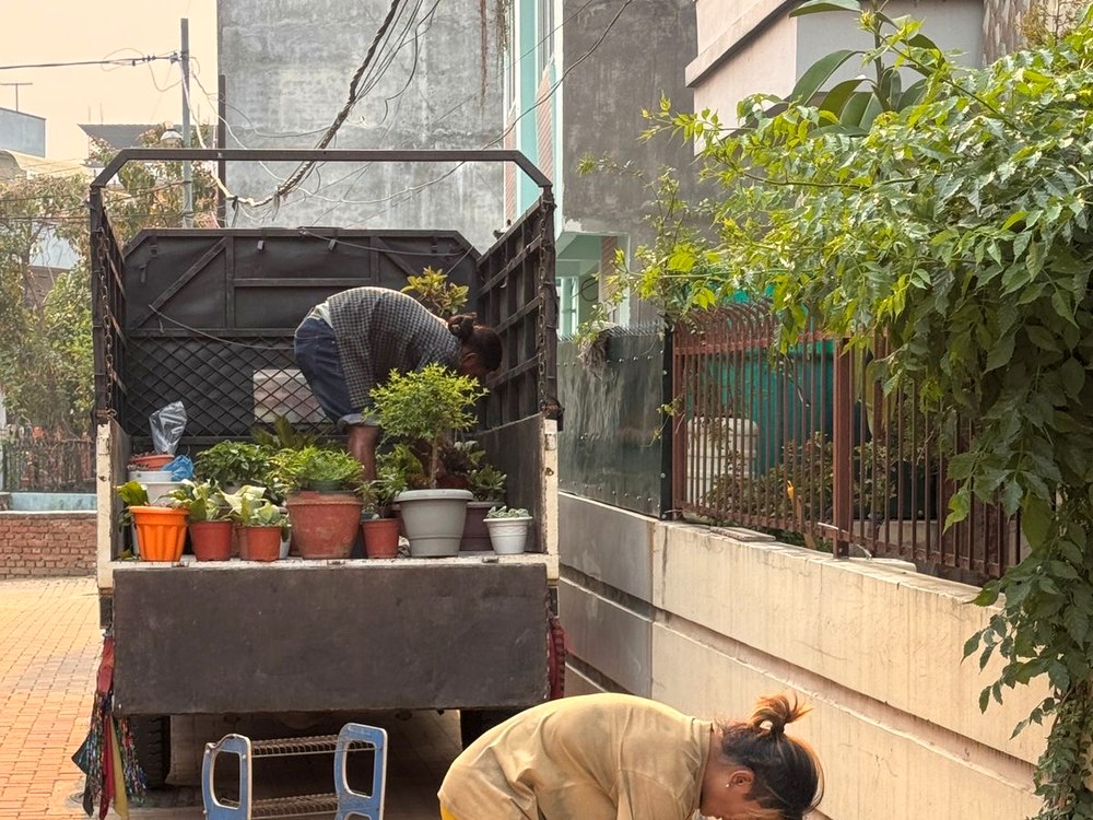 Worker carefully loading garden plants onto a moving truck